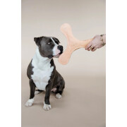 Dog toy Kentucky Dogwear Pastel Boomerang